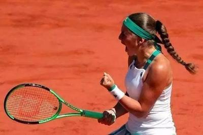 杂性与竞争 杂性与竞争