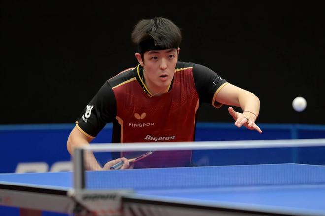 同样出色 同样出色