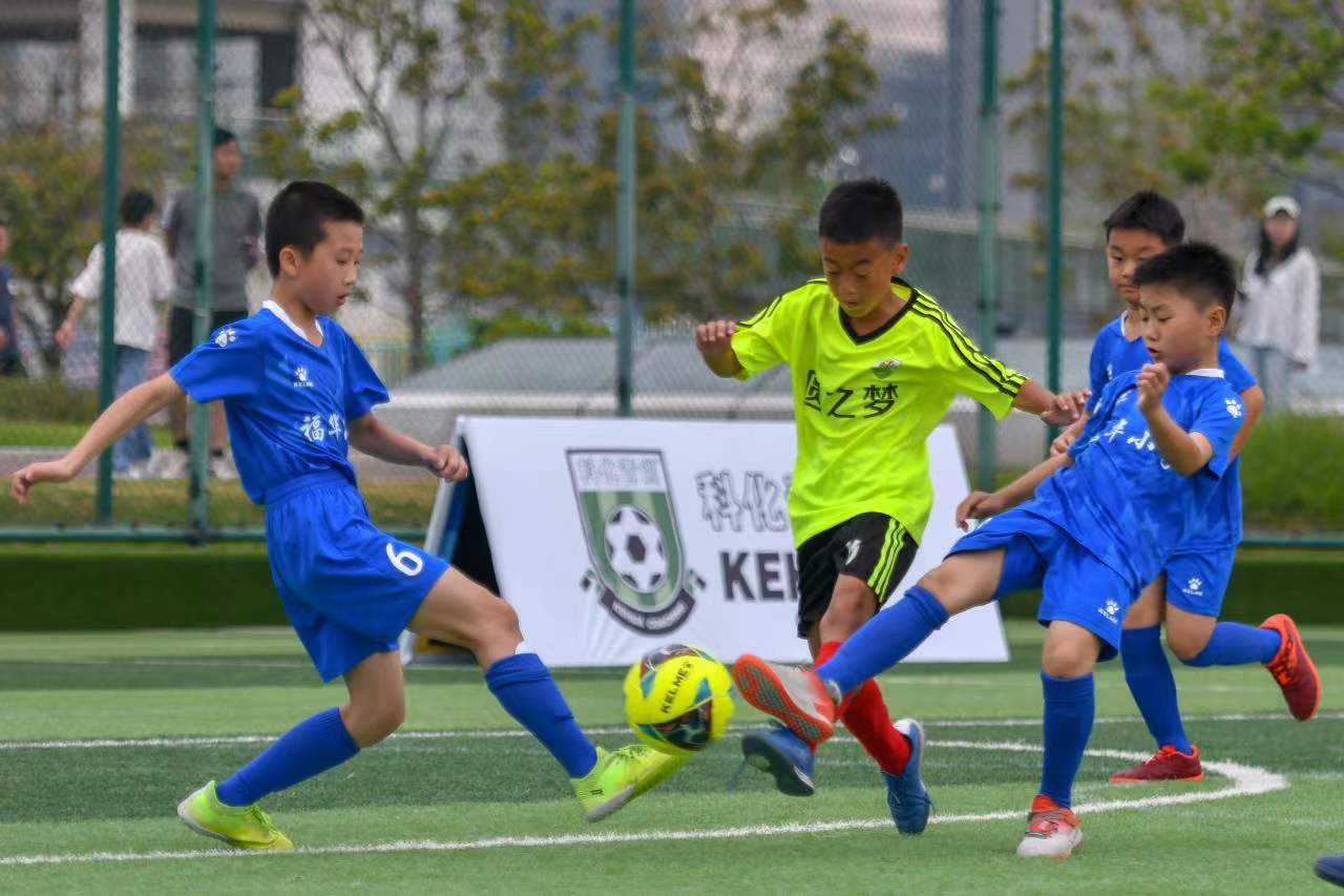 的赛场氛围 的赛场氛围