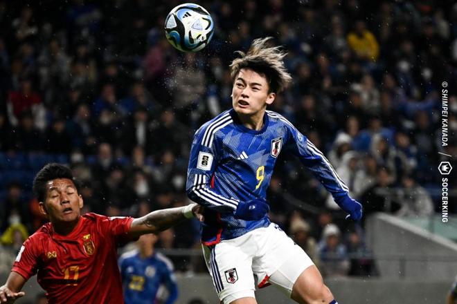 码区域获得 码区域获得